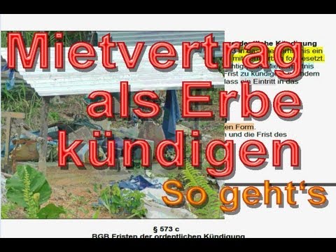Als Erbe wirksam Mietvertrag kündigen: § 564 BGB - So geht's - Mustertext  - Immobooks.de