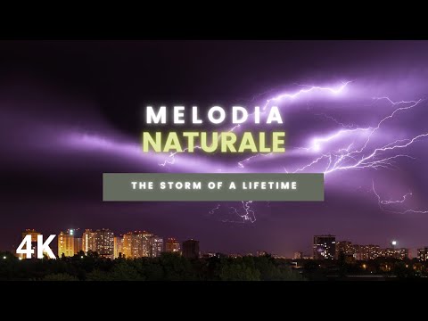 The Storm of a Lifetime: Intense Rain Sounds that will Blow Your Mind!
