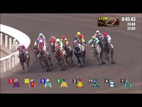 10/1/2021 (333) Silver Fig - K Teetan