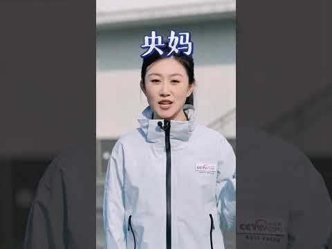 Unlock the Secret to Safe Cat Feeding: A Beginner's Guide