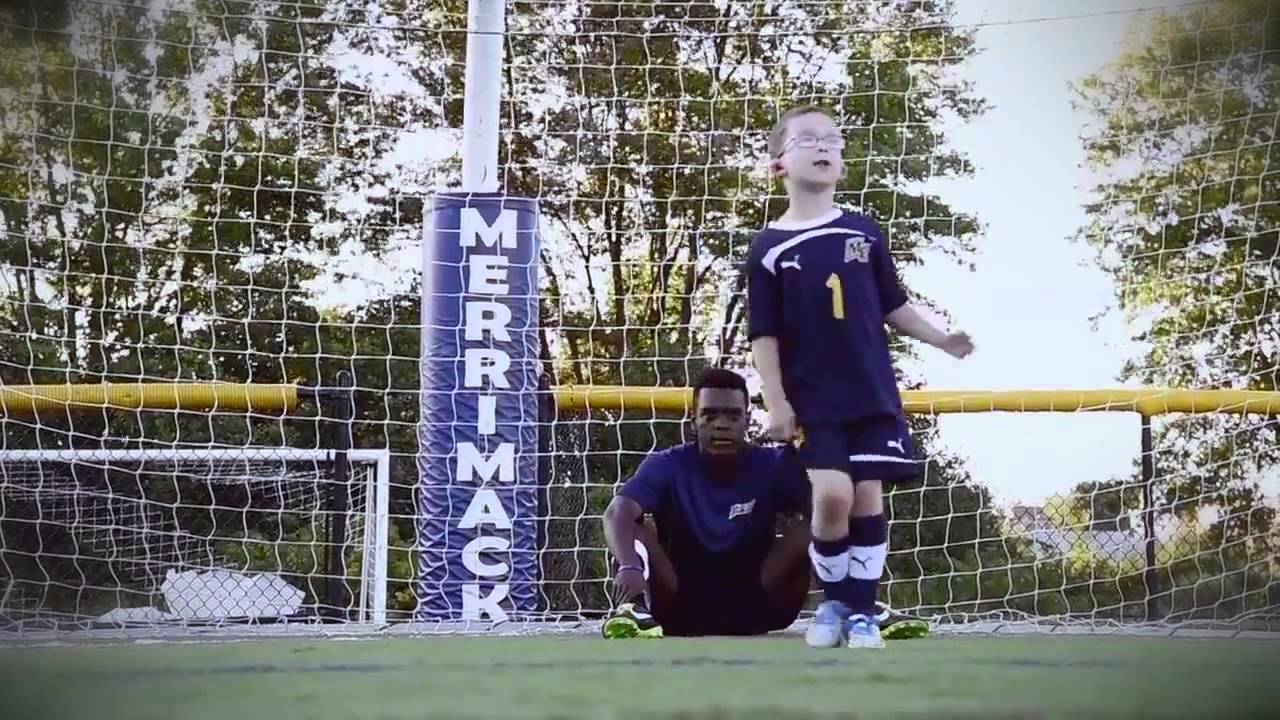 Team IMPACT Overview