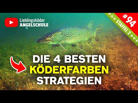 🎯Top 4 Köderfarben-Strategien! So triffst du IMMER die richtige Wahl! 🎣🔥