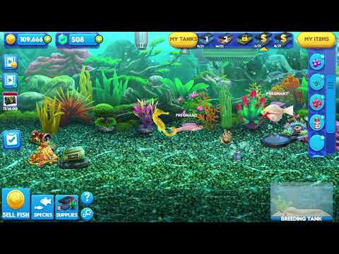 Fish Tycoon 2 Breeding Chart