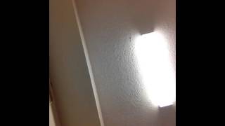 Go back home by Audra McDonald