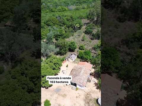 What 77998639398 Fazenda à venda em Riachão das Neves Bahia #fazenda #natureza #agro #roça