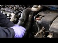 Peugeot 307 hdi - Remplacement du filtre à gasoil ...