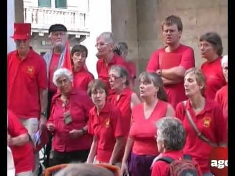 Ha un pene piccolo non è finita Migliori erbe per la potenza sessuale maschile