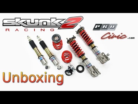 Skunk2 Pro C Coilovers Unboxing Review - Honda Civic 2012 2013 2014 2015