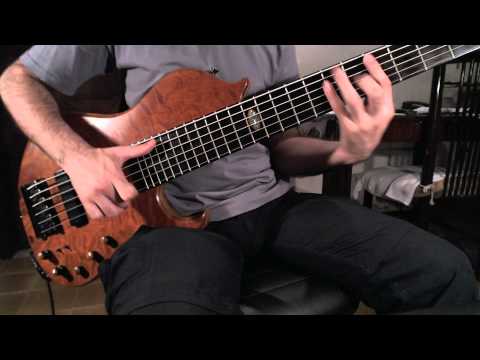 Delano bass pickups SBC 6 HE/S-4 soapbars PARALLEL/SINGLE/SERIES