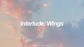 Interlude: Wings | BTS  (방탄소년단) English Lyrics