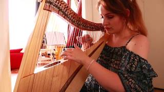 I&#39;ll Stand By You - The Pretenders (Harp Cover)