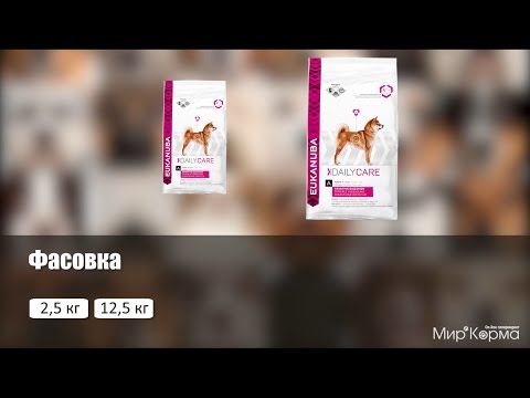 download lagu mp3 mp4 Eukanuba Sensitive Stomach, download lagu Eukanuba Sensitive Stomach gratis, unduh video klip Eukanuba Sensitive Stomach