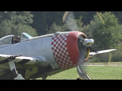 Republic P-47D Thunderbolt 'Nellie' - OTT19 Hahnweide Oldtimer Fliegertreffen