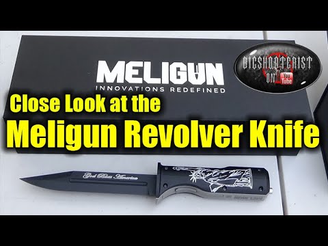 A Close Look Inside the Meligun MG22