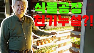 식물공장 천기누설 공개!! ㅣ 특허받은 시스템 ㅣ 식물공장 반값에 구축 가능합니다