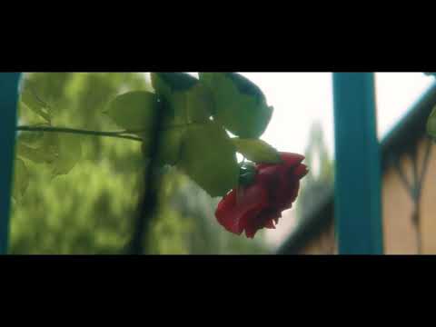 Pet Shop Boys/Boy George - The Crying Game (Don't Want No More)