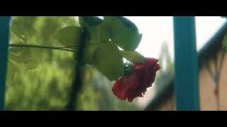 Pet Shop Boys/Boy George - The Crying Game (Don&#39;t Want No More)