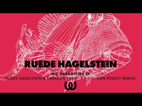 Ruede Hagelstein & Emerson Todd - A.R.G.O. (Ian Pooley Remix)