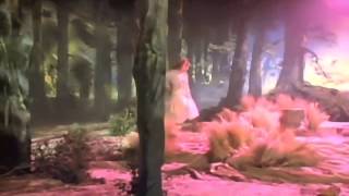 Fleetwood Mac-Straight Back