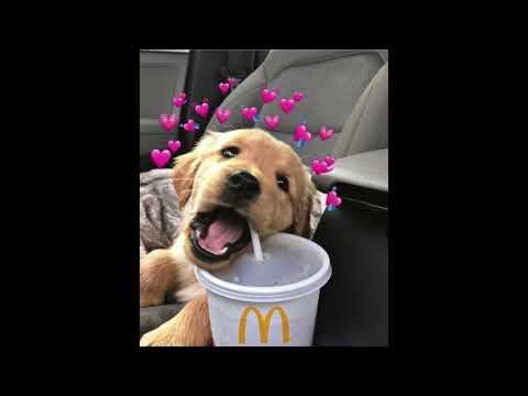 (FREE) Hyperpop type beat "pure death" (glaive x 100 gecs x osquinn)