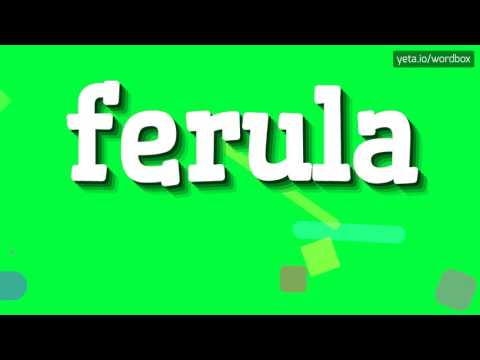 FERULA - HOW TO PRONOUNCE IT!?