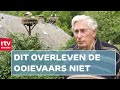 Eerste beelden van het TT-Circuit & treurig nieuws voor de ooievaar | Drenthe Nu 23 juni 2021