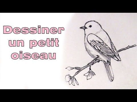 comment dessiner un petit oiseau sur une branche
