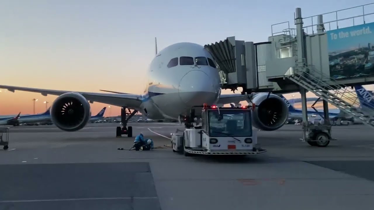 All Nippon Airways ANA Signet thumbnail