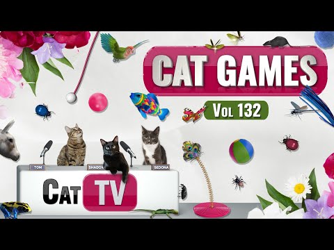 CAT Games | Ultimate Cat TV Compilation Vol 132 | 8 HOURS  🐝🐞🦋🦎🦜🐜🐭🧵