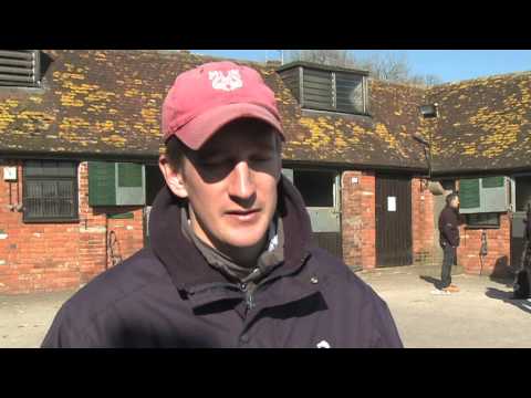 Cheltenham Festival 2016: Dark Horse