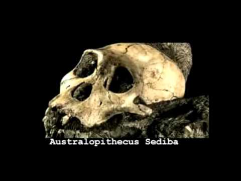 ¿ESLABÓN PERDIDO ENCONTRADO?