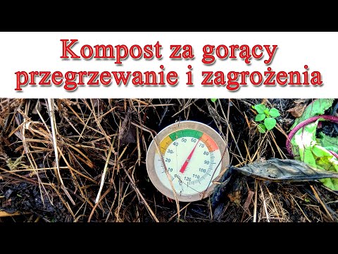 Kompost za gorący - przegrzanie i zagrożenia dla kompostu - Kompost 1