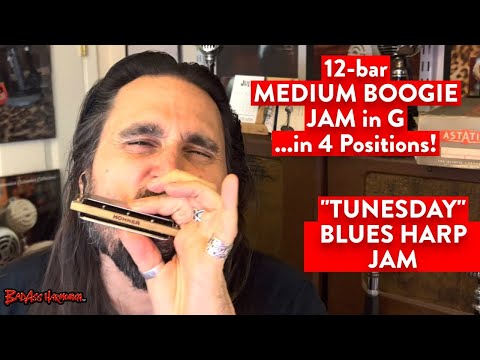 How To Not Suck with a 4-Harp Boogie!🎵- Blues Harmonica Jam  - Hohner Blues Harp Licks  Tunesday 103