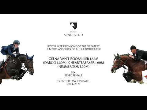 Geena van't Roosakker x Heartbreaker