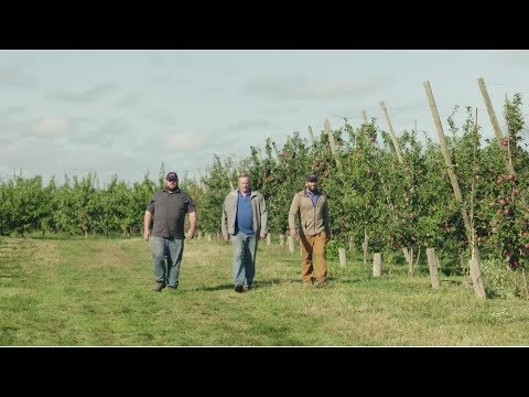 Crunch Time Apples Presents Bittner Singer Orchards