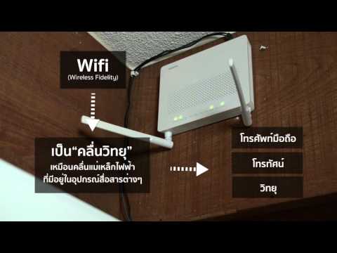 กลายเป็นสมาชิกคนหนึ่งของขนาดเล็กทำไม เป็นยาพื้นบ้านเพื่อเพิ่มสมาชิก