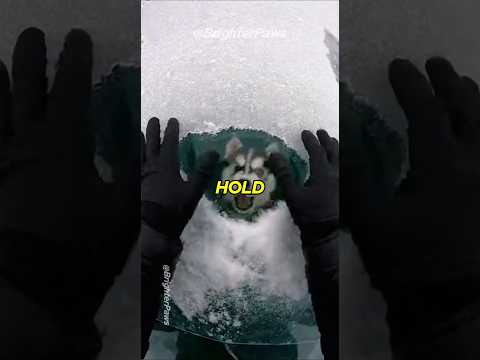 You Won't Believe What This Puppy Brought Me 🎁 #animalrescue #puppy #humanity