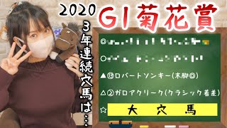 【菊花賞2020】 奇跡の年！三冠馬コントレイルと共に飛んでくる穴馬は３年連続穴馬のあの血統と見たぁぁぁ【競馬予想】