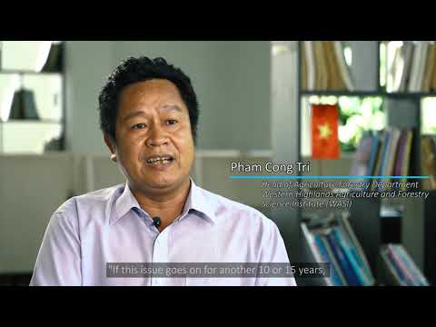 Tornando a cadeia de abastecimento de café mais verde no Vietnã (VERSÃO LONGA)