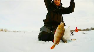 Какие мормышки для окуня на зимнюю рыбалку