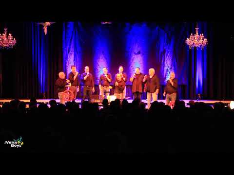 Voice Boys - Thermomix