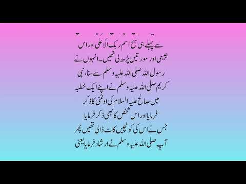 Sahih Bukhari hadees no 4926-4946|hadees nabvi in Urdu voice text|bukhari sharif in pdf|#hadith​