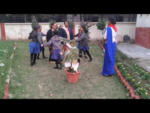 cub Bulbul Activity at KV INA