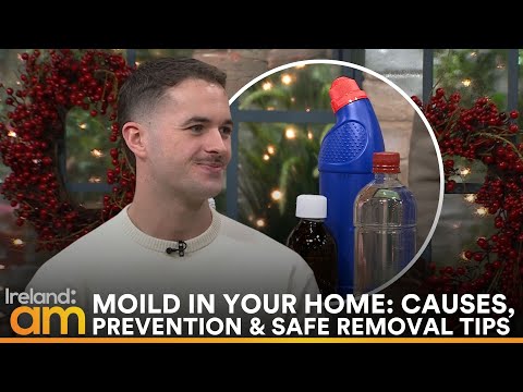 How to Prevent Mould in Winter, Causes, Prevention & Safe Removal Tips
