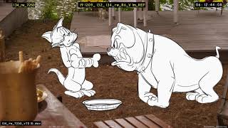 Tom and Jerry (2021) - Wedding Party - 2D Guide An