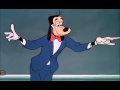 Dingo Dingo Professeur 1952