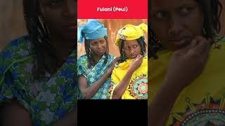 🇳🇪 The Heart of the Sahel: Tribes of Niger!