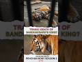 Tragic Story Of Bandhavgarh Biggest Tiger