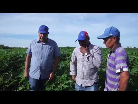 Evalúan autoridades potencialidades para la producción de alimentos en #LasTunas