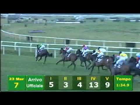 Premio San Rossore 2014 (HANDICAP PRINCIPALE)